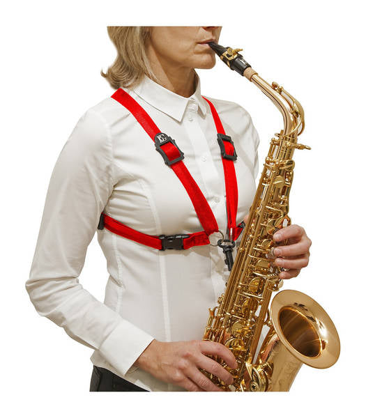 Arnes BG S419SH para Saxofón Alto/Tenor-1