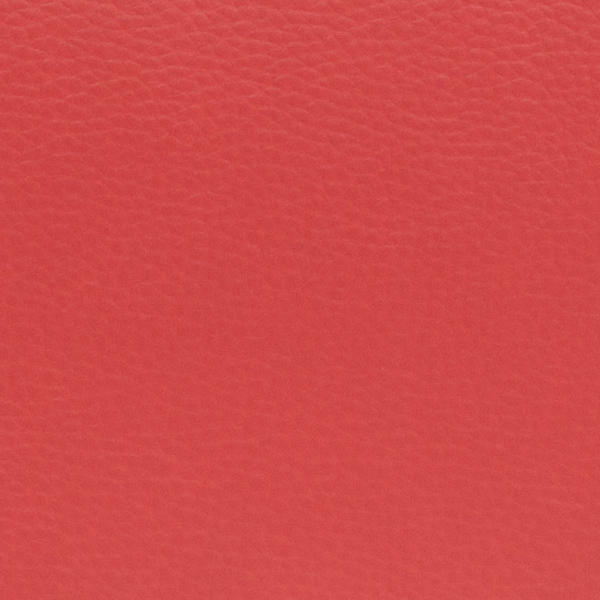 Estuche ORTOLÁ Amelie 102Brg para Trompeta-4
