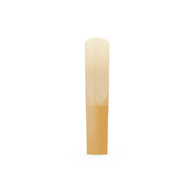Caja de 5 cañas D'ADDARIO Organic Reserve para Saxofón Tenor-3