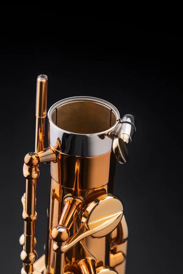 Saxofón Tenor SELMER Supreme DGG-4