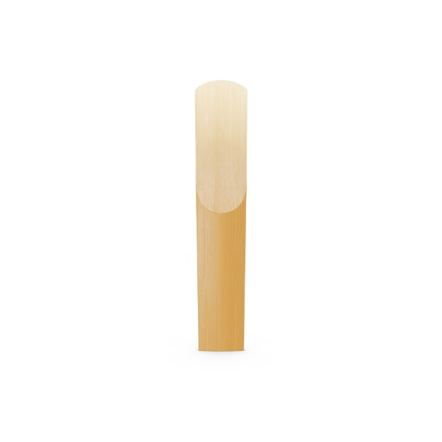 Caña D'ADDARIO Organic Select Jazz Unfiled para Saxofón Barítono-1