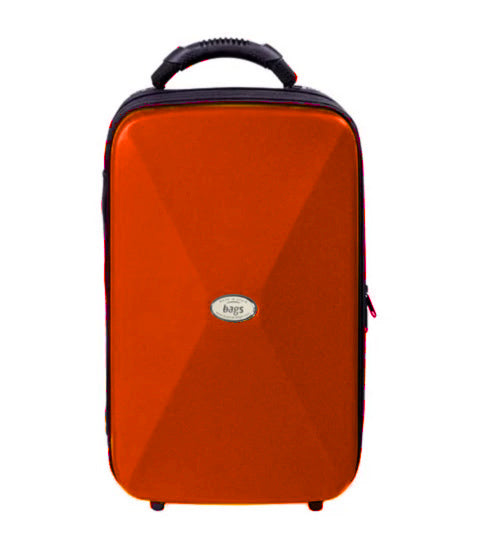 Estuche BAGS Evolution EV-1 Metalic para 2 Clarinetes SIb/La-6