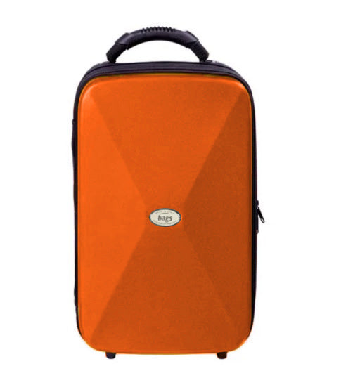 Estuche BAGS Evolution EV-1 Metalic para 2 Clarinetes SIb/La-8