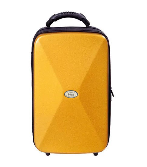 Estuche BAGS Evolution EV-1 Metalic para 2 Clarinetes SIb/La-10