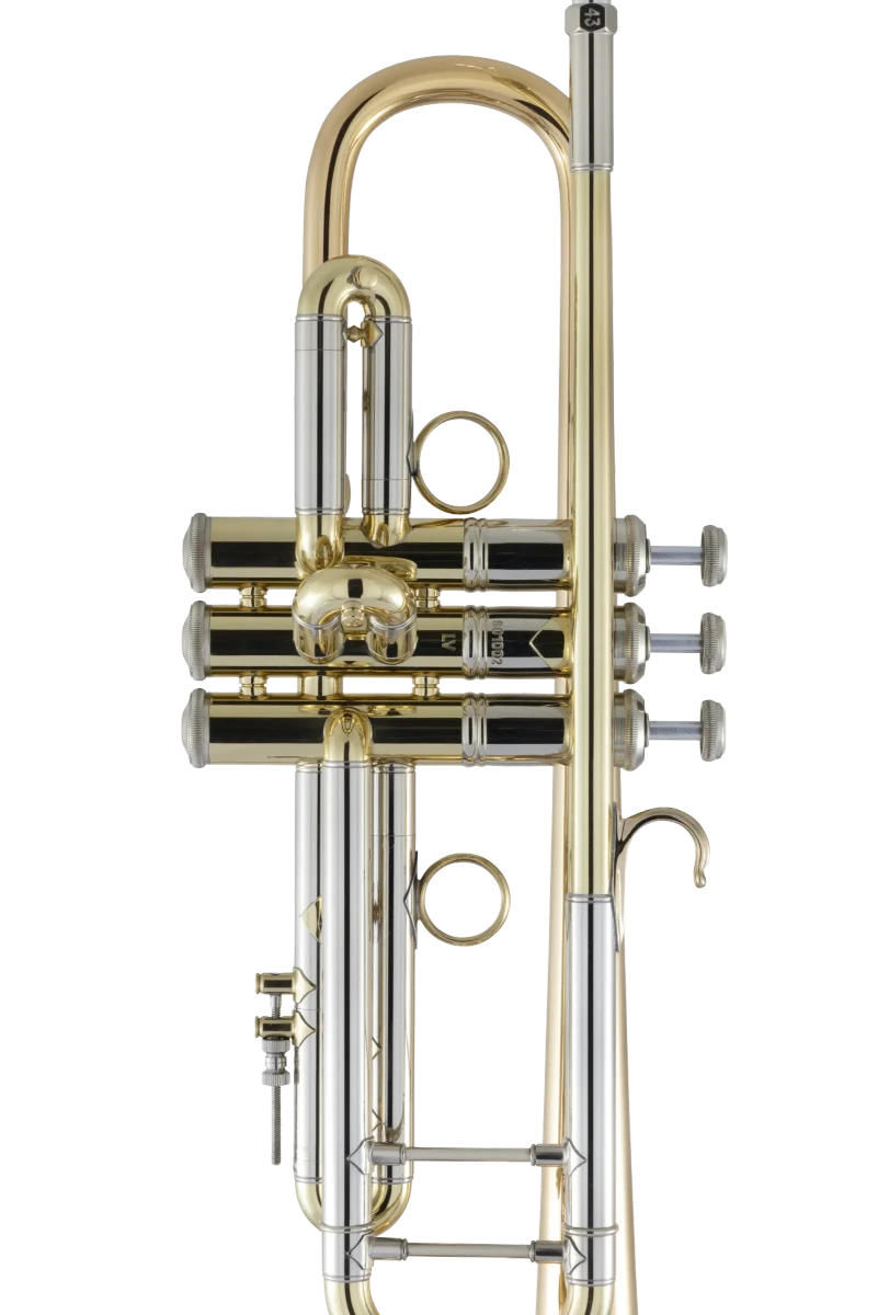 Trompeta BACH 190 65GV Vindabona-1