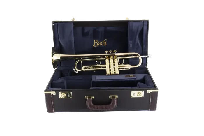 Trompeta BACH 170 43GYR Apollo-2
