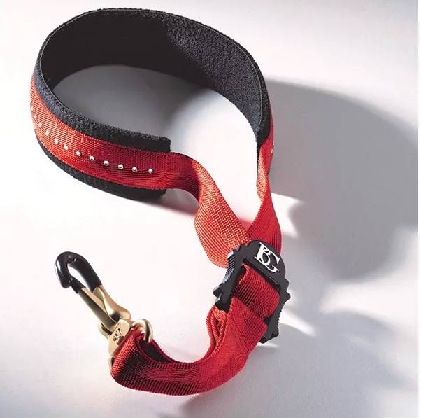 Colgante BG S19GMSH para Saxofón Alto/Tenor-1