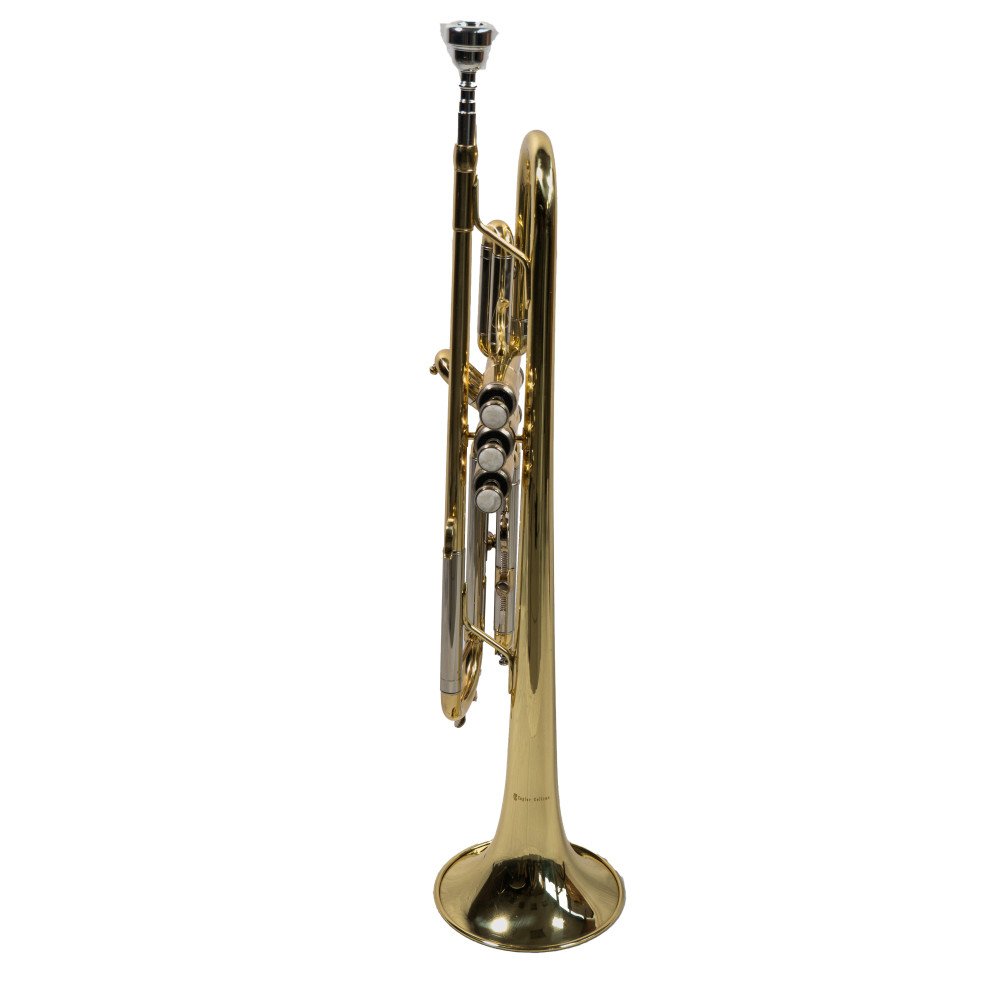 Trompeta TAYLOR COLLINS TR-1