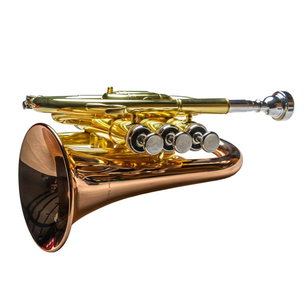 Trompeta Pocket TAYLOR COLLINS TCPTR-36