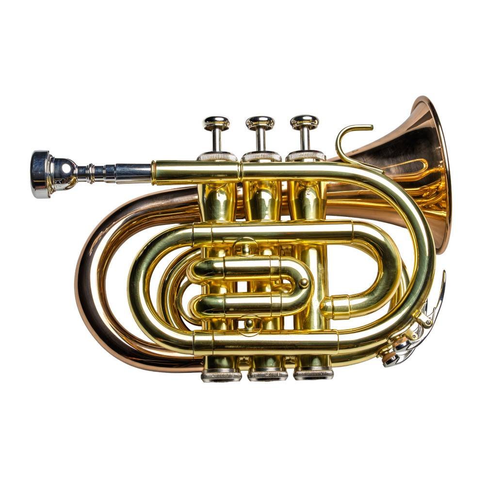 Trompeta Pocket TAYLOR COLLINS TCPTR-36