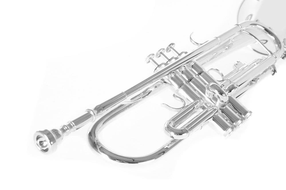 Trompeta ROY BENSON TR 202S