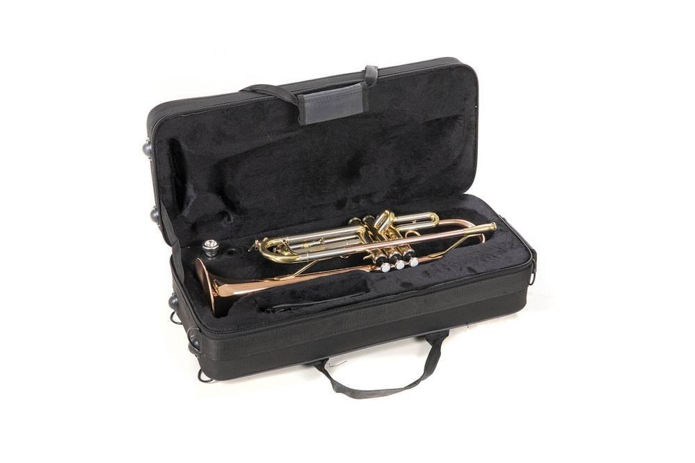 Trompeta ROY BENSON TR 202G