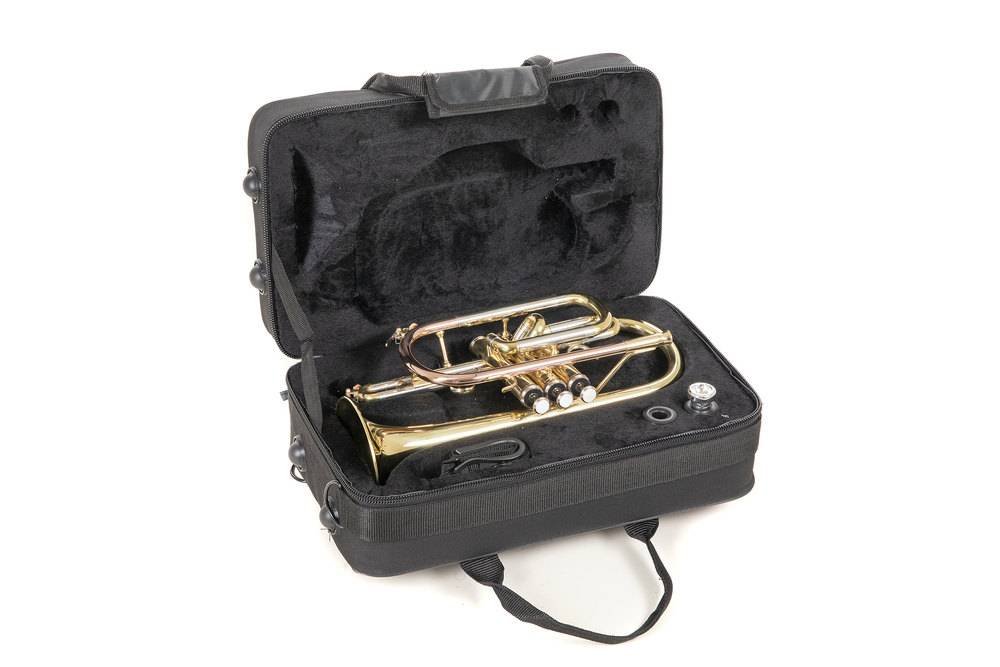 ROY BENSON CR 202 Cornet Bb