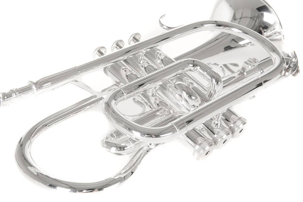 ROY BENSON CR 202S Cornet Bb