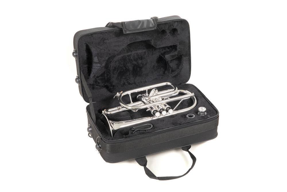 ROY BENSON CR 202S Cornet Bb