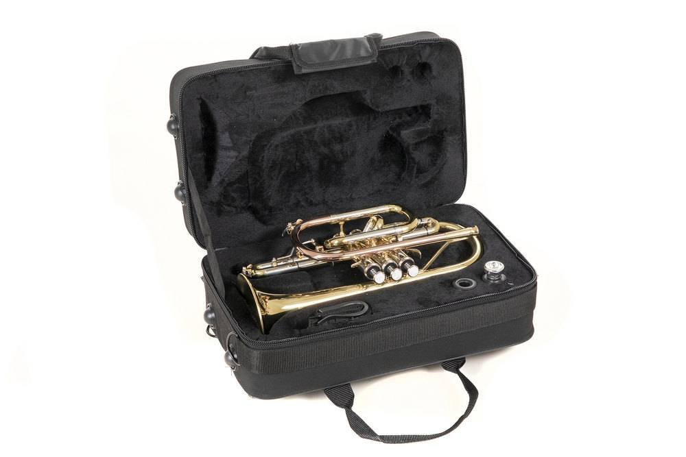 ROY BENSON CR 302 Cornet Bb