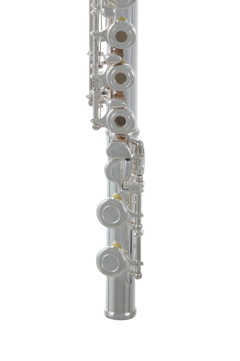 ROY BENSON FL-402R flute