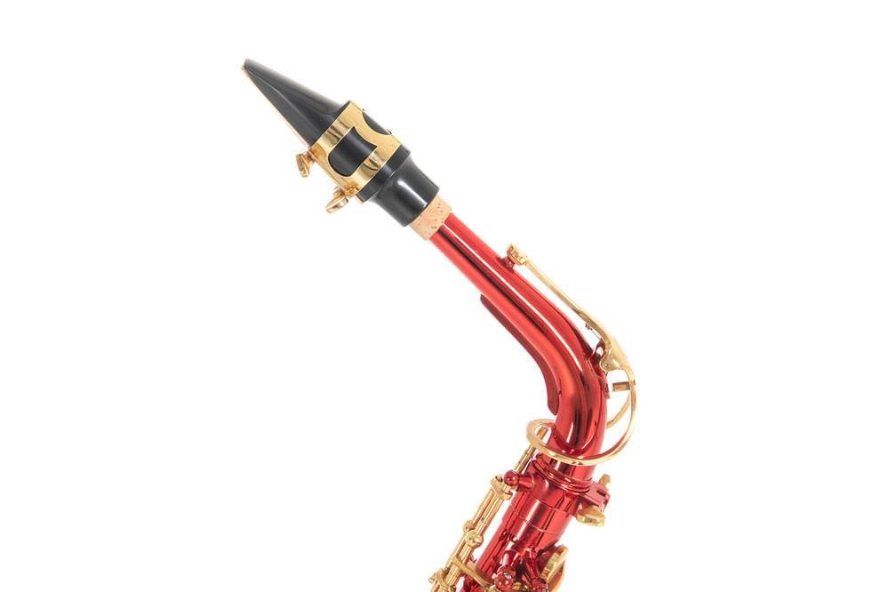 ROY BENSON AS-202R Alto Saxophone