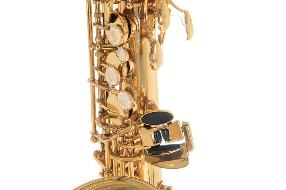 ROY BENSON AS-202 Alto Saxophone