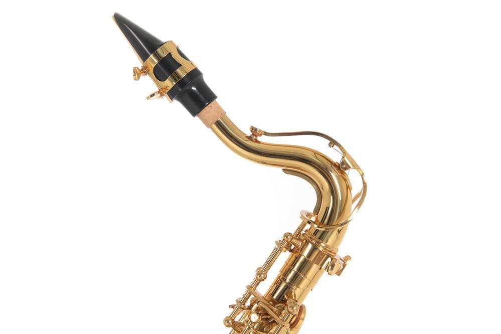 Saxofone Alto para crianças ROY BENSON AS-201