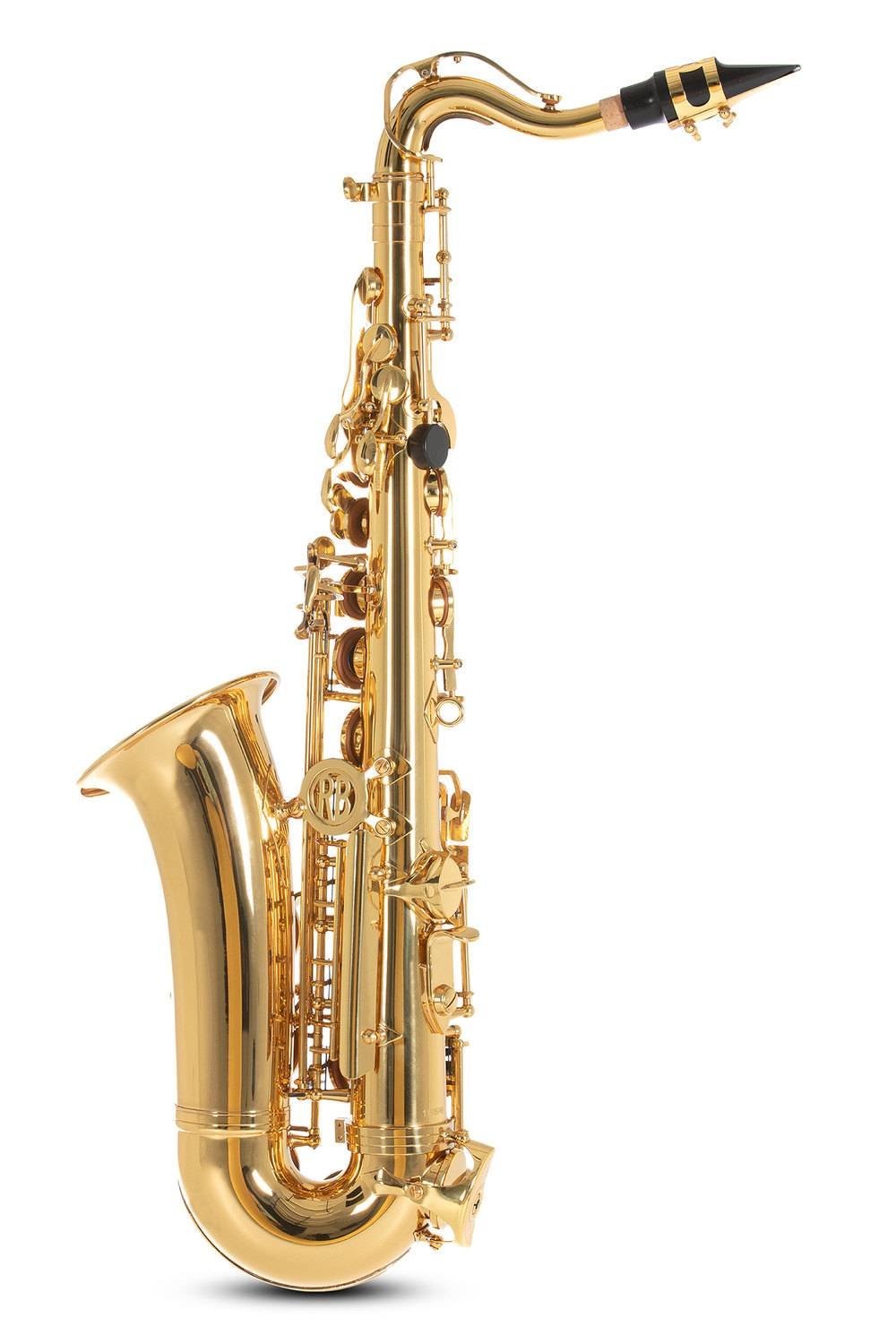 Saxofone Alto para crianças ROY BENSON AS-201