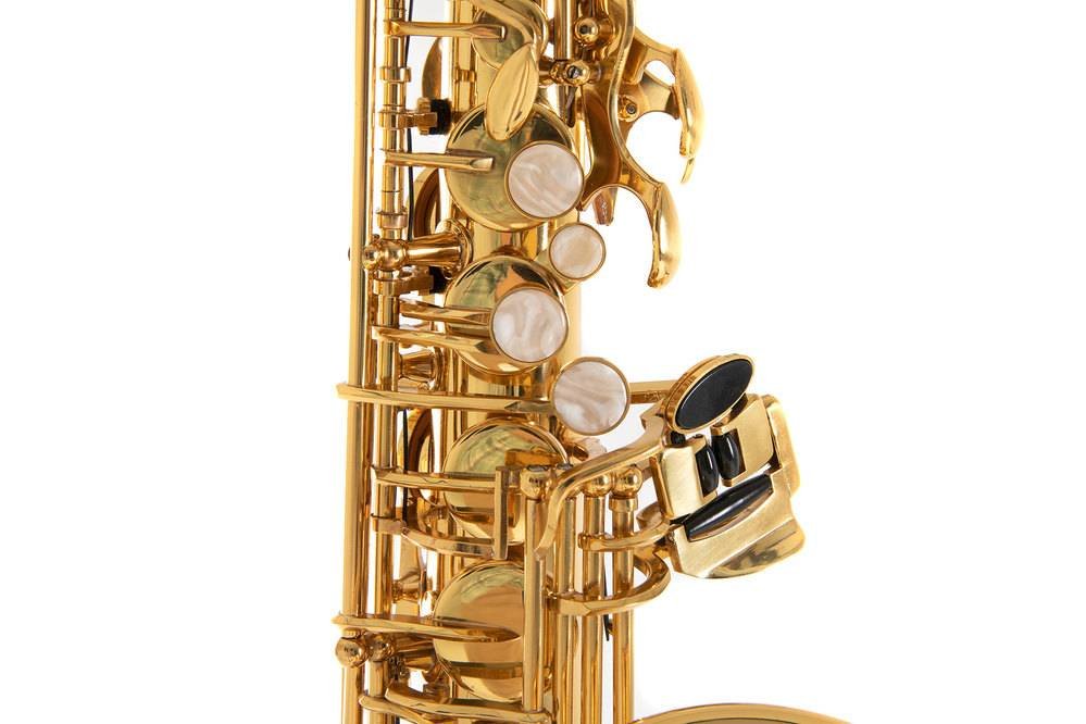 Saxofone Alto para crianças ROY BENSON AS-201