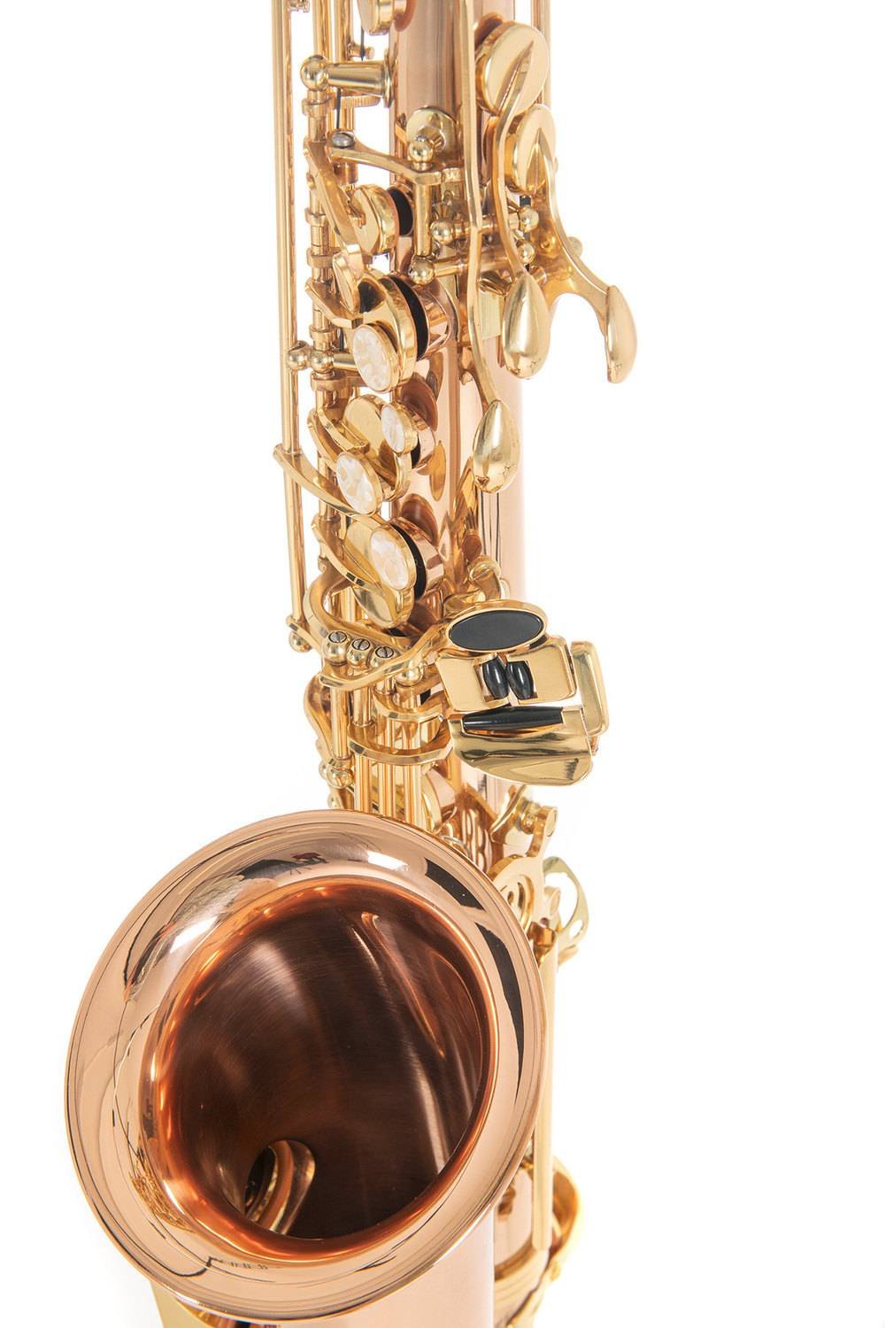 ROY BENSON AS-202G Alto Saxophone