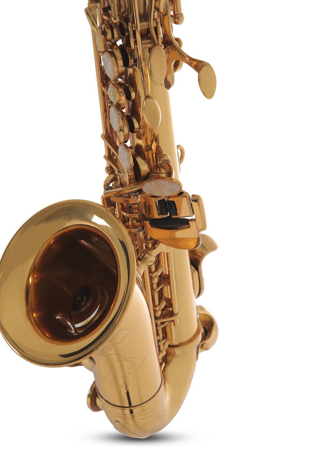 ROY BENSON SG-302 Soprano Saxophone Curved