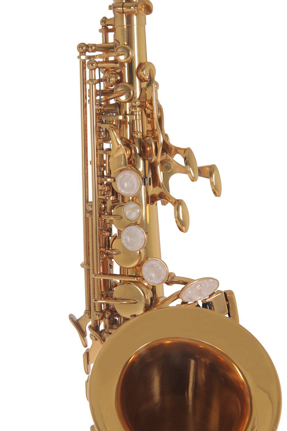 ROY BENSON SG-302 Soprano Saxophone Curved