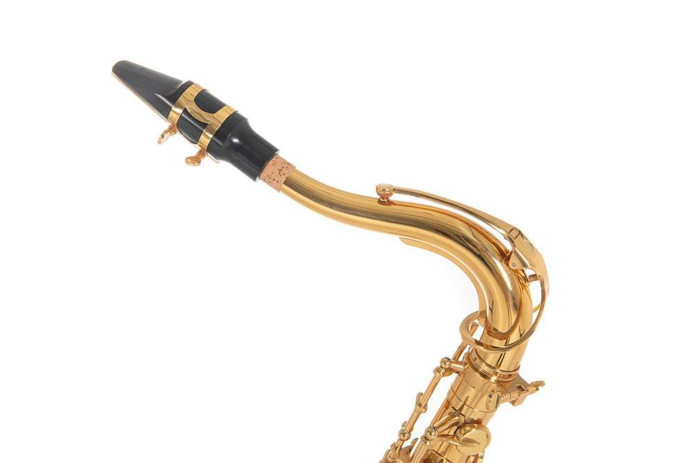 ROY BENSON TS-202 Tenor Saxophone