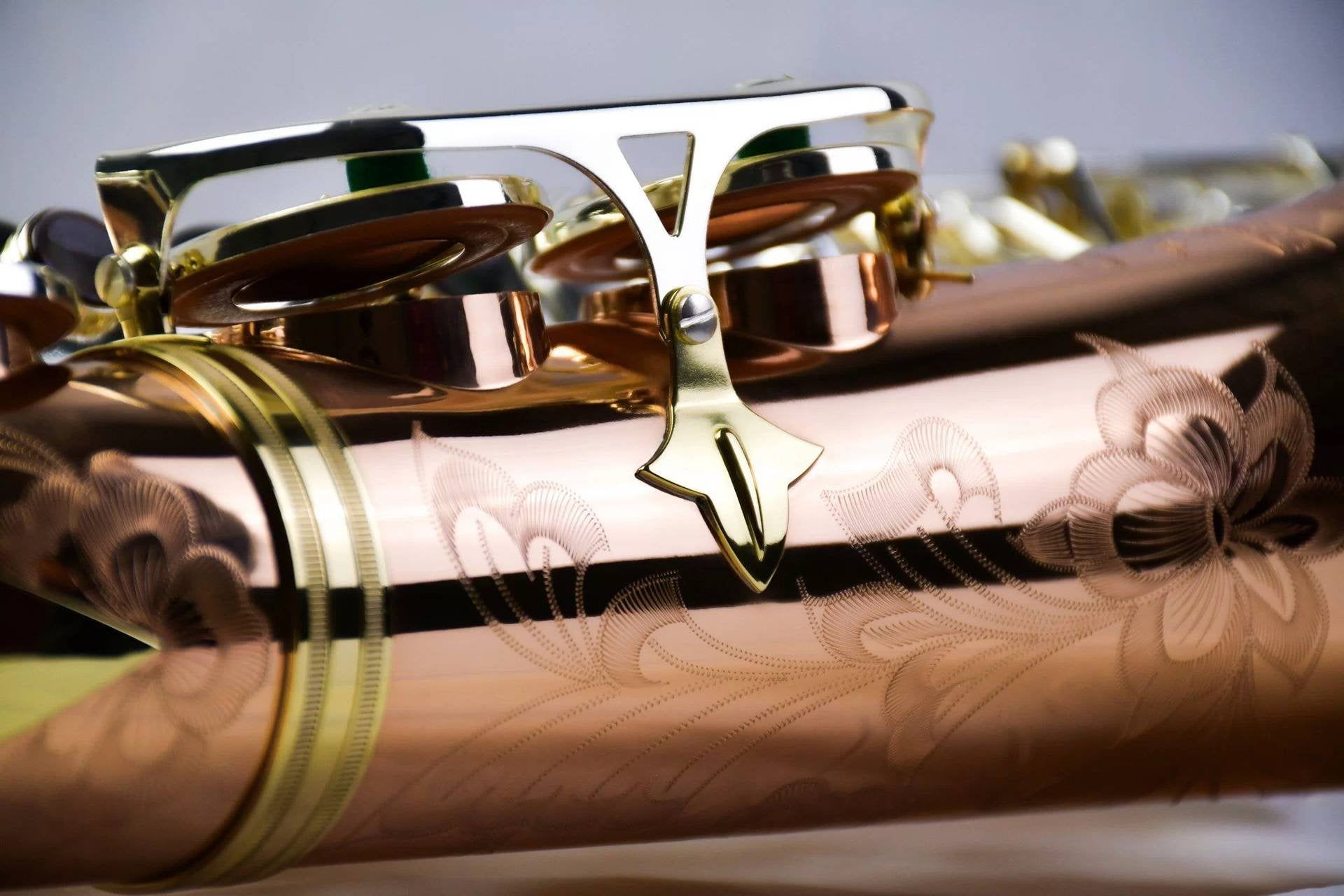 Saxofone Alto P. MAURIAT PMSA-600 Venus