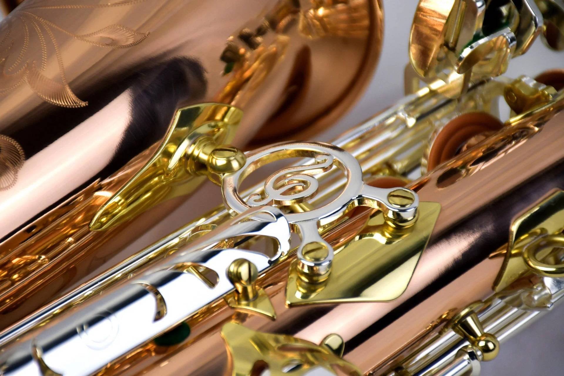 Saxofone Alto P. MAURIAT PMSA-600 Venus