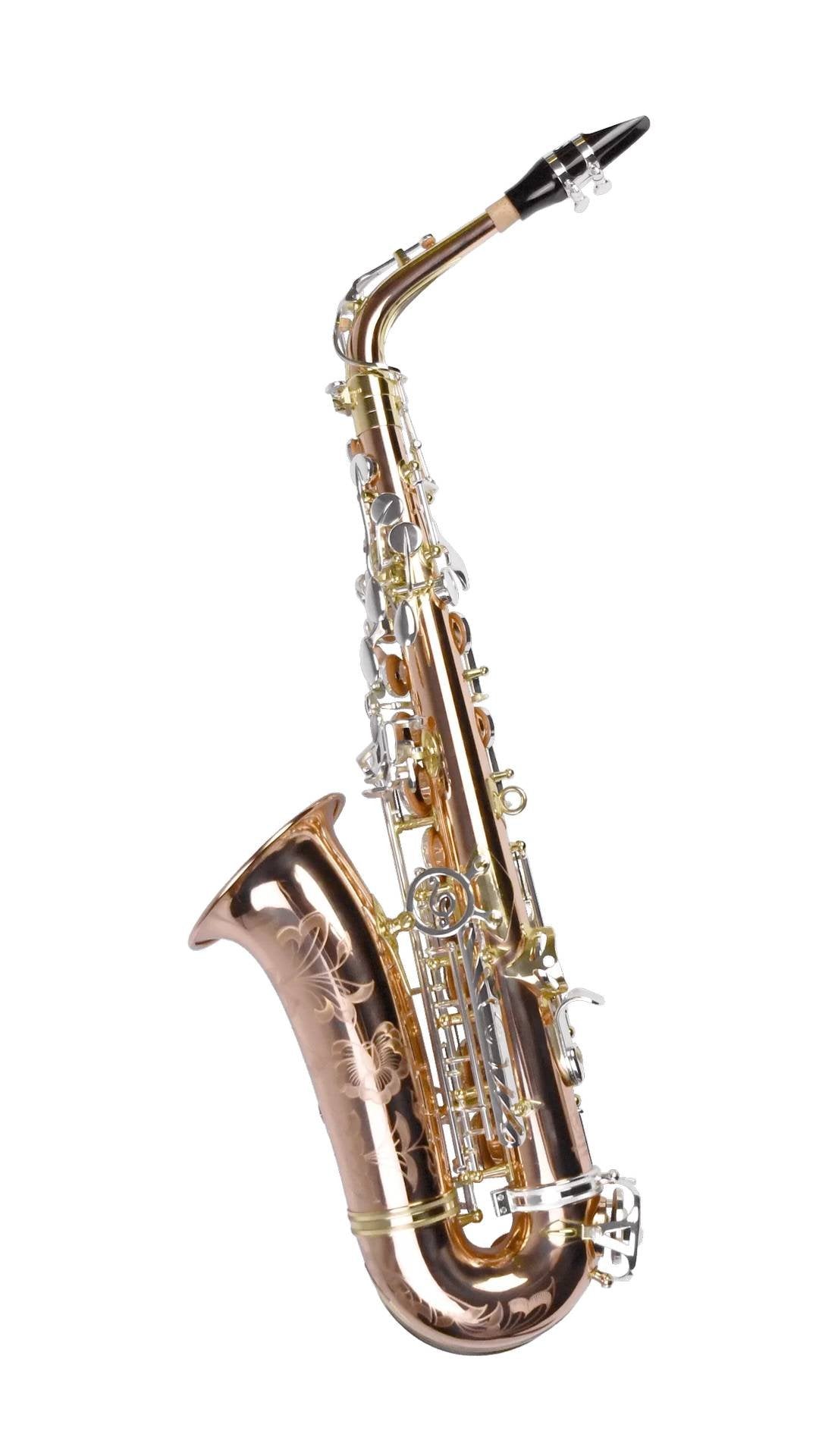 Saxofone Alto P. MAURIAT PMSA-600 Venus