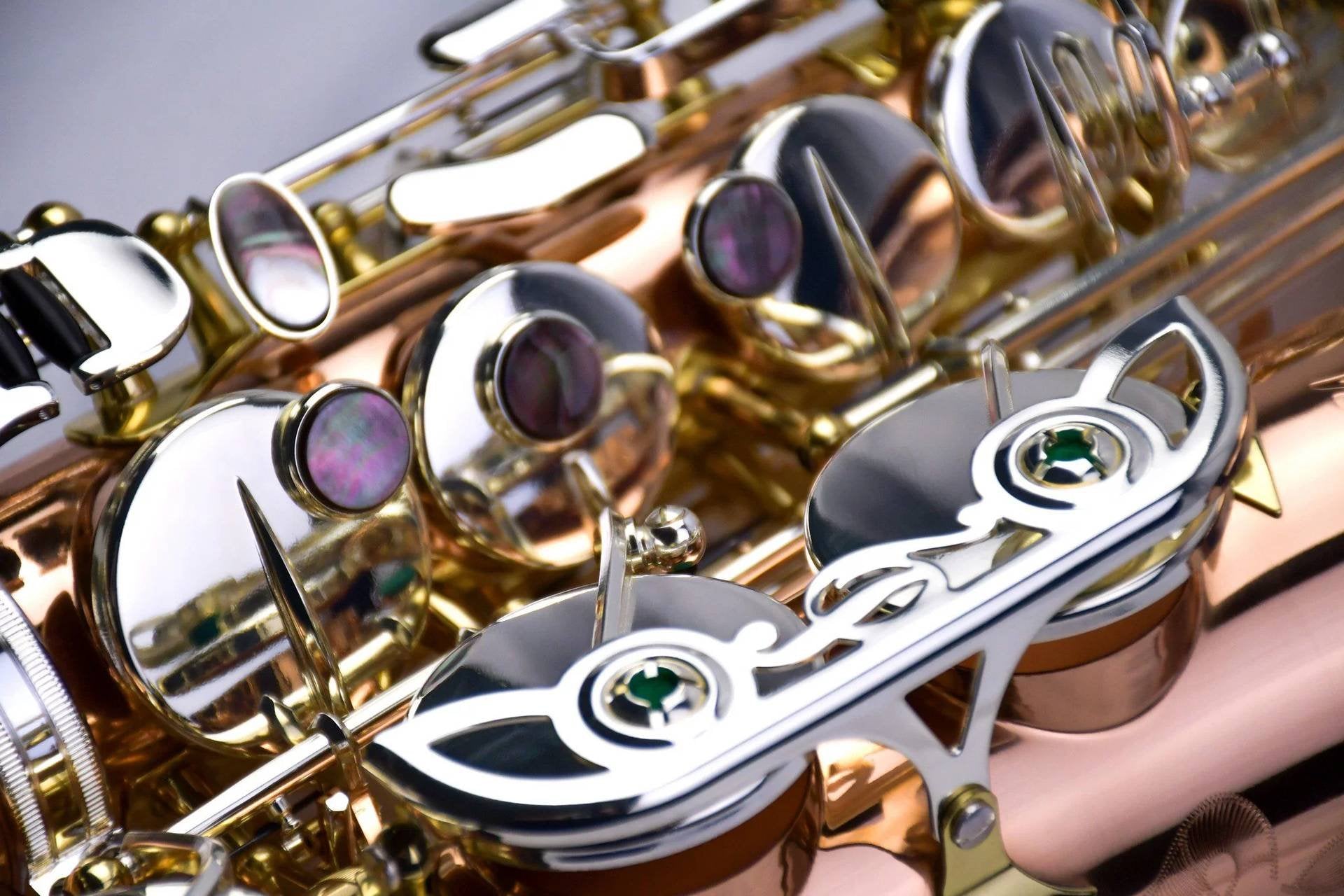 Saxofone Alto P. MAURIAT PMSA-600 Venus
