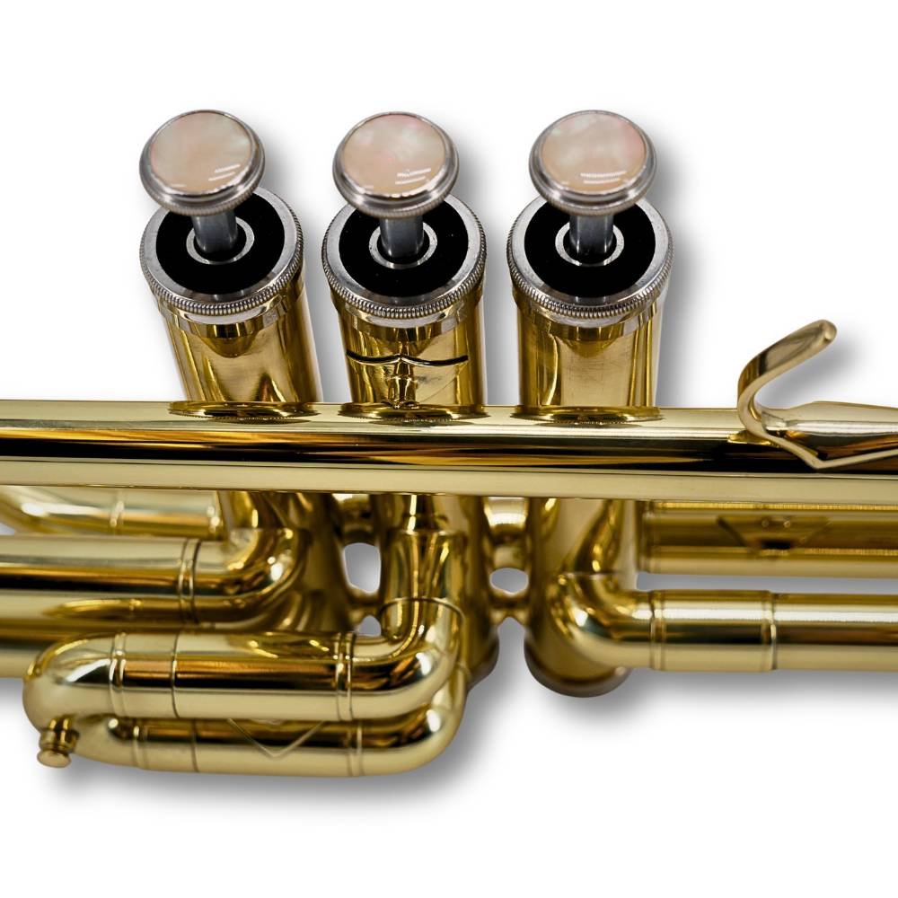Trombón Pistones TAYLOR COLLINS TCTM-9010 Do