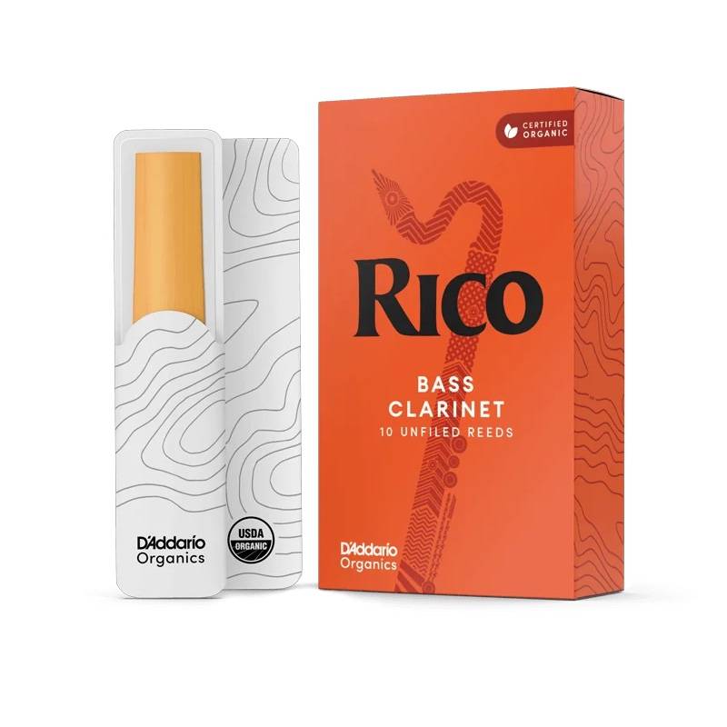 Novedades