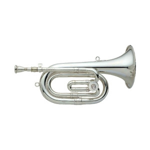 HONSUY Spanish cornet 72300