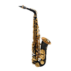 Saxofone Alto Selmer Signature NG GO