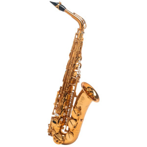 Selmer Signature Alto Saxophone DGG
