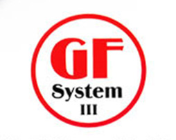 GF-SYSTEM